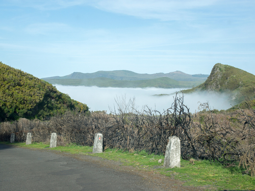 Funchal Ginjas Safari Shore Excursion Reviews